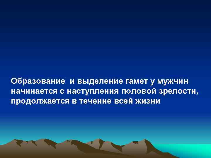 Образование и выделение гамет у мужчин начинается с наступления половой зрелости, продолжается в течение