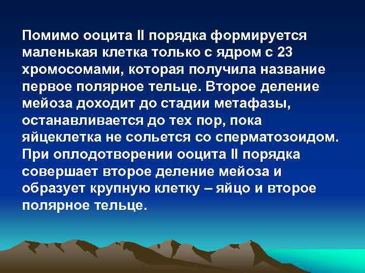 Помимо ооцита II порядка формируется маленькая клетка только с ядром с 23 хромосомами, которая