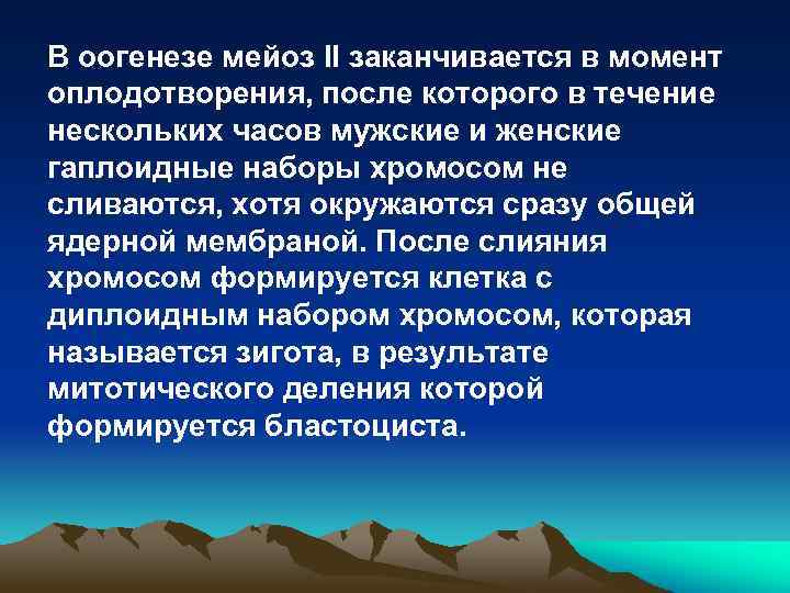 В оогенезе мейоз II заканчивается в момент оплодотворения, после которого в течение нескольких часов