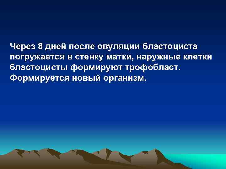 Через 8 дней после овуляции бластоциста погружается в стенку матки, наружные клетки бластоцисты формируют