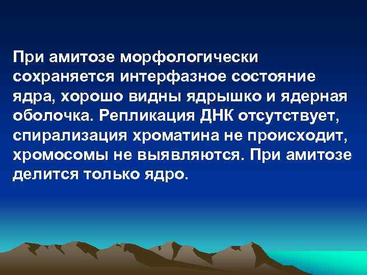 При амитозе морфологически сохраняется интерфазное состояние ядра, хорошо видны ядрышко и ядерная оболочка. Репликация