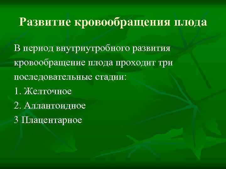 Развитие кровообращения плода В период внутриутробного развития кровообращение плода проходит три последовательные стадии: 1.