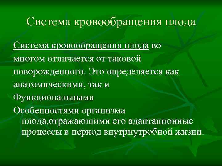 Система кровообращения плода во многом отличается от таковой новорожденного. Это определяется как анатомическими, так