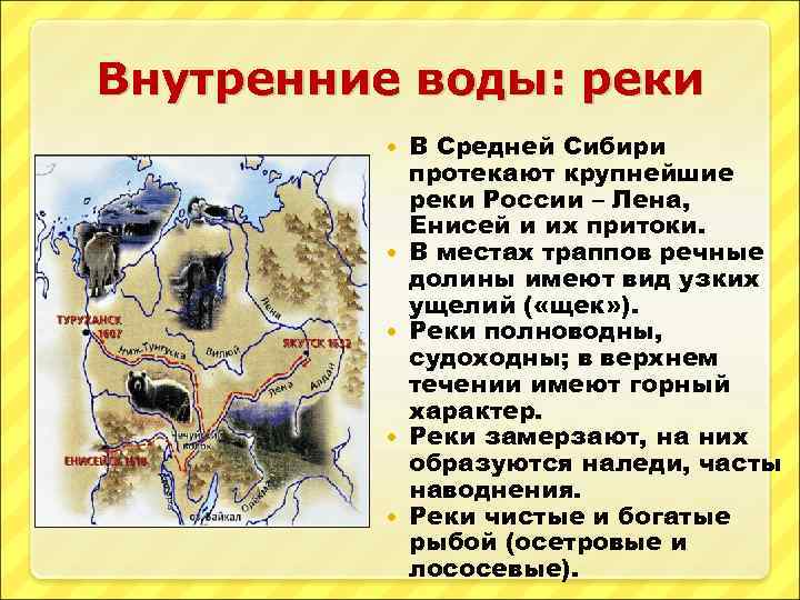 Внутренние воды: реки В Средней Сибири протекают крупнейшие реки России – Лена, Енисей и