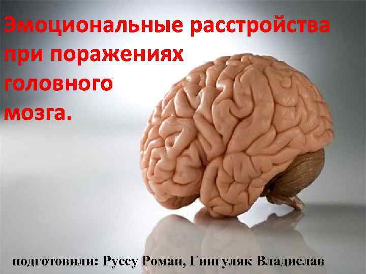 Эмоциональные расстройства при поражениях головного мозга. подготовили: Руссу Роман, Гингуляк Владислав 