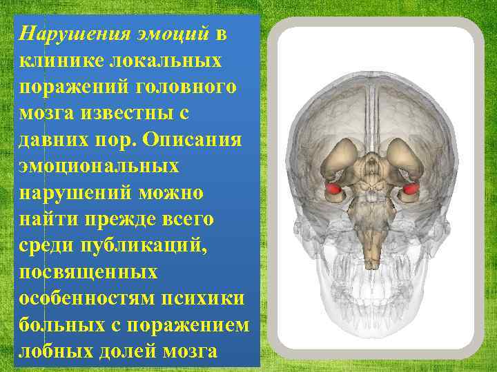 Нарушения эмоций в клинике локальных поражений головного мозга известны с давних пор. Описания эмоциональных