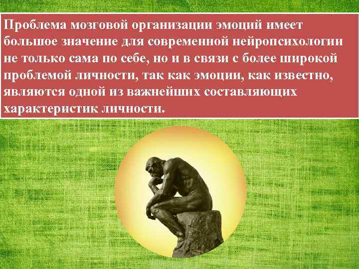 Проблема мозговой организации эмоций имеет большое значение для современной нейропсихологии не только сама по