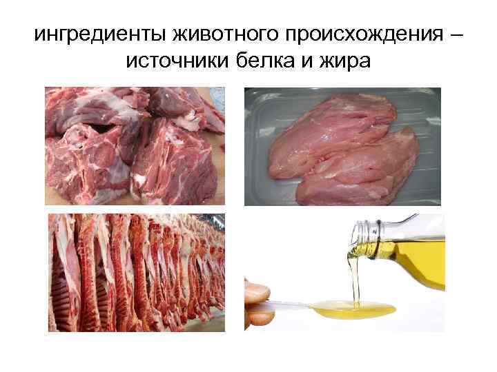 ингредиенты животного происхождения – источники белка и жира 