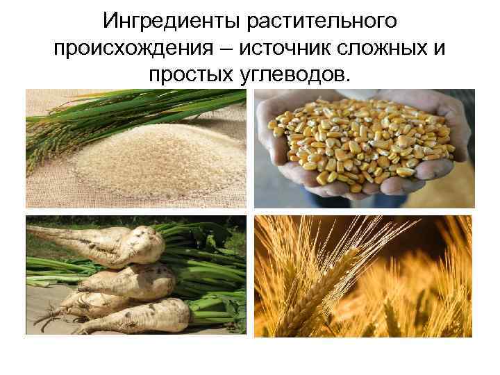 Ингредиенты растительного происхождения – источник сложных и простых углеводов. 