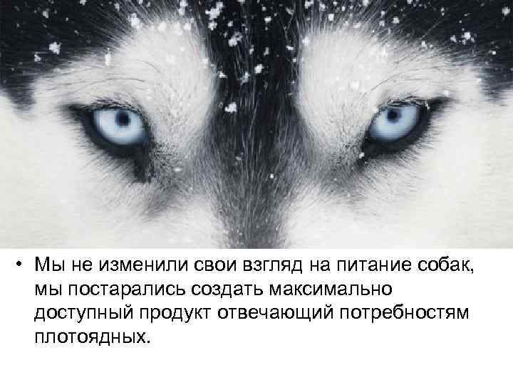  • Мы не изменили свои взгляд на питание собак, мы постарались создать максимально