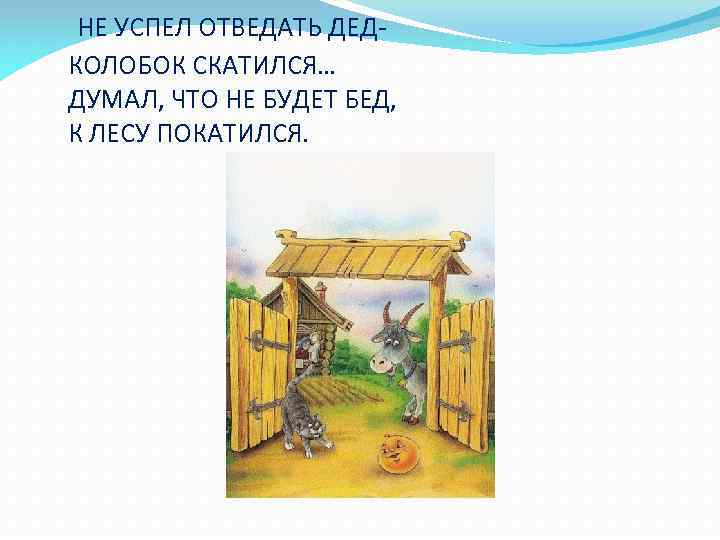  НЕ УСПЕЛ ОТВЕДАТЬ ДЕД- КОЛОБОК СКАТИЛСЯ… ДУМАЛ, ЧТО НЕ БУДЕТ БЕД, К ЛЕСУ