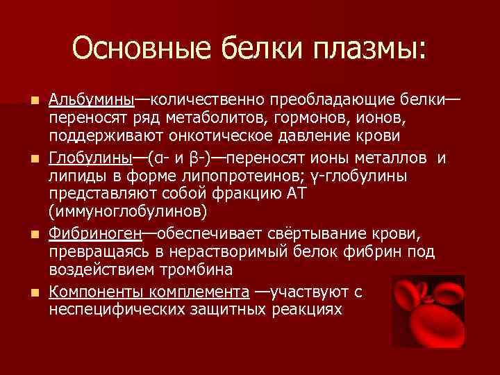 Основные белки плазмы: n n Альбумины—количественно преобладающие белки— переносят ряд метаболитов, гормонов, ионов, поддерживают