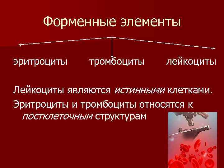 Форменные элементы эритроциты тромбоциты лейкоциты Лейкоциты являются истинными клетками. Эритроциты и тромбоциты относятся к