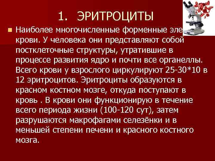1. ЭРИТРОЦИТЫ n Наиболее многочисленные форменные элементы крови. У человека они представляют собой постклеточные