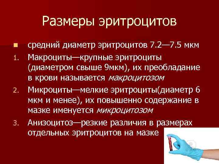 Размеры эритроцитов средний диаметр эритроцитов 7. 2— 7. 5 мкм 1. Макроциты—крупные эритроциты (диаметром