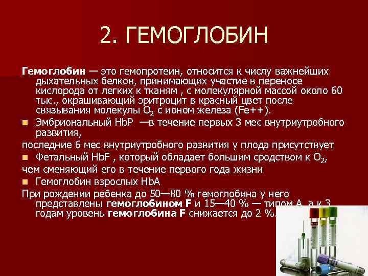 2. ГЕМОГЛОБИН Гемоглобин — это гемопротеин, относится к числу важнейших дыхательных белков, принимающих участие