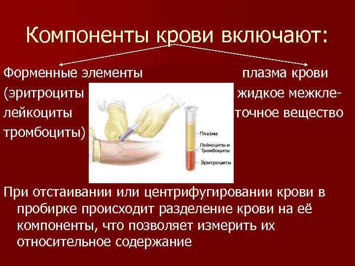 Компоненты крови включают: Форменные элементы плазма крови (эритроциты жидкое межкле- - лейкоциты точное вещество