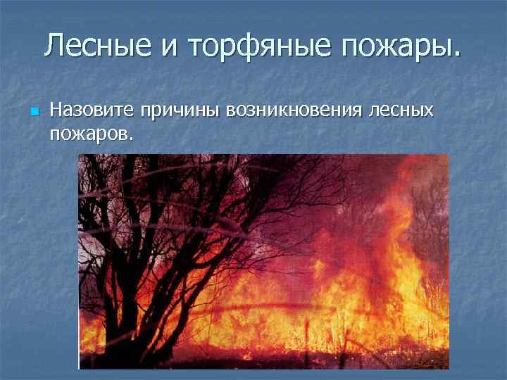 Лесные и торфяные пожары. n Назовите причины возникновения лесных пожаров. 