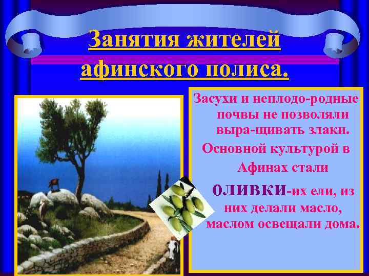 Занятия жителей афинского полиса. Засухи и неплодо-родные почвы не позволяли выра-щивать злаки. Основной культурой