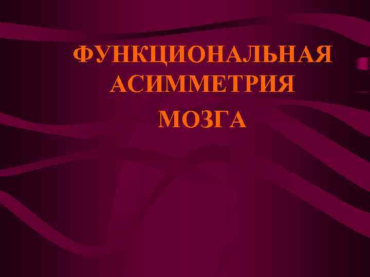 ФУНКЦИОНАЛЬНАЯ АСИММЕТРИЯ МОЗГА 
