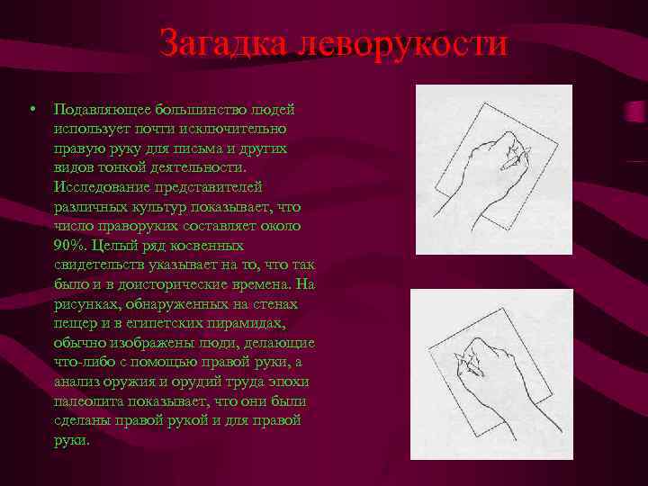 Загадка леворукости • Подавляющее большинство людей использует почти исключительно правую руку для письма и