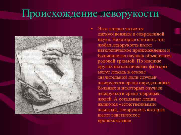 Происхождение леворукости • Этот вопрос является дискуссионным в современной науке. Некоторые считают, что любая