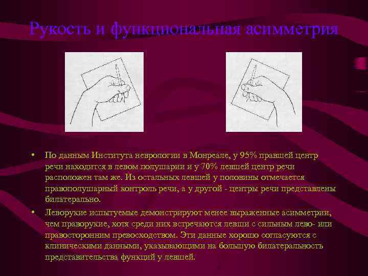 Рукость и функциональная асимметрия • • По данным Института неврологии в Монреале, у 95%