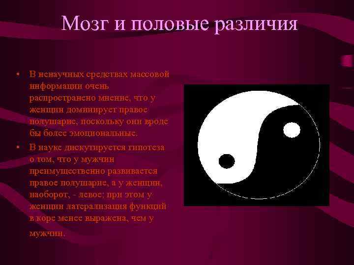 Мозг и половые различия • В ненаучных средствах массовой информации очень распространено мнение, что