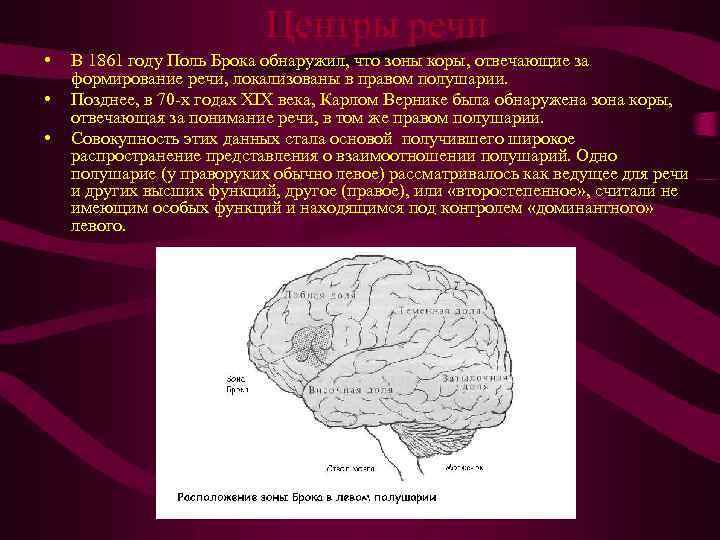 Центры речи • • • В 1861 году Поль Брока обнаружил, что зоны коры,