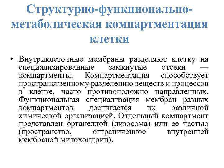 Структурно-функциональнометаболическая компартментация клетки • Внутриклеточные мембраны разделяют клетку на специализированные замкнутые отсеки — компартменты.