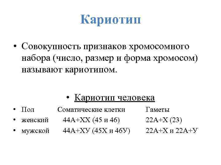 Кариотип • Совокупность признаков хромосомного набора (число, размер и форма хромосом) называют кариотипом. •