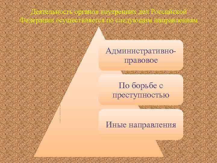 Деятельность органов внутренних дел Российской Федерации осуществляется по следующим направлениям Административноправовое По борьбе с