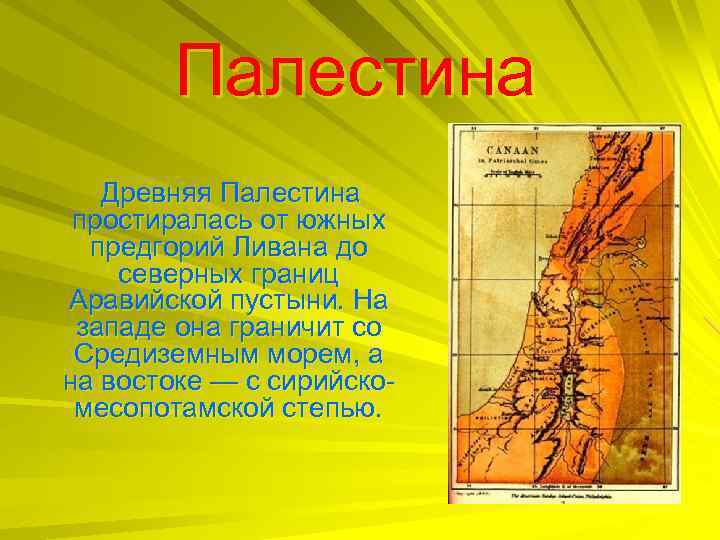Палестина Древняя Палестина простиралась от южных предгорий Ливана до северных границ Аравийской пустыни. На