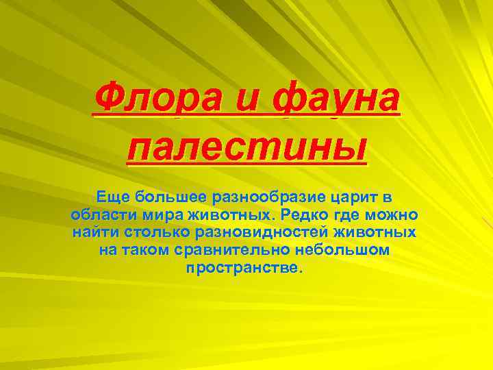 Флора и фауна палестины Еще большее разнообразие царит в области мира животных. Редко где