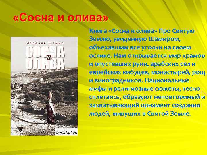  «Сосна и олива» Книга «Сосна и олива» Про Святую Землю, увиденную Шамиром, объехавшим