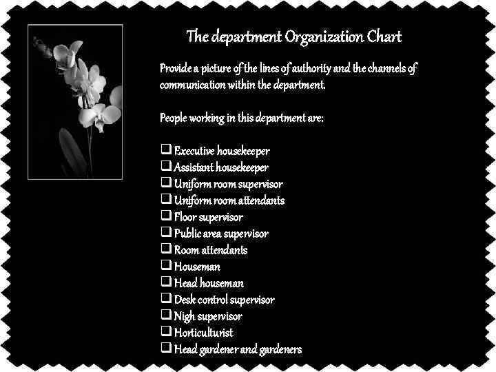 The department Organization Chart Provide a picture of the lines of authority and the