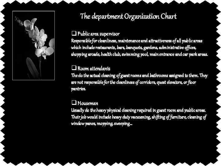 The department Organization Chart q Public area supervisor Responsible for cleanliness, maintenance and attractiveness