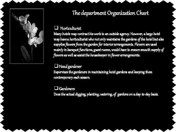 The department Organization Chart q Horticulturist Many hotels may contract his work to an