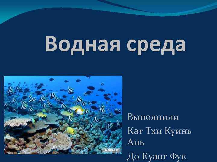 Водная среда Выполнили Кат Тхи Куинь Ань До Куанг Фук 