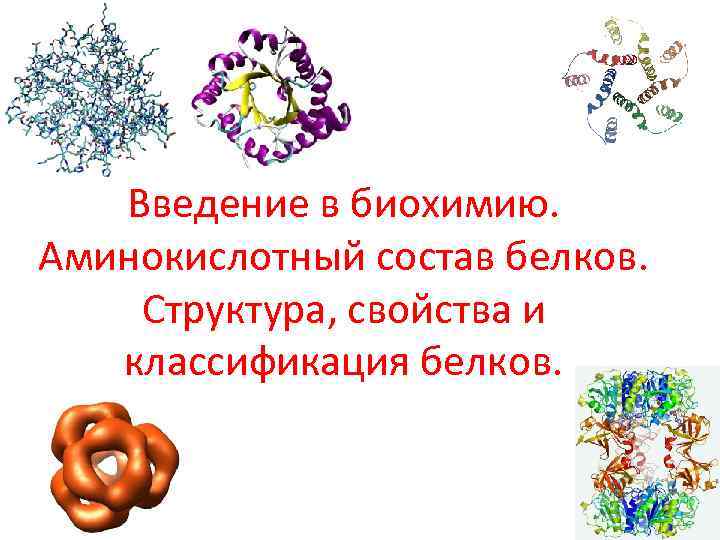 Введение в биохимию. Аминокислотный состав белков. Структура, свойства и классификация белков. 