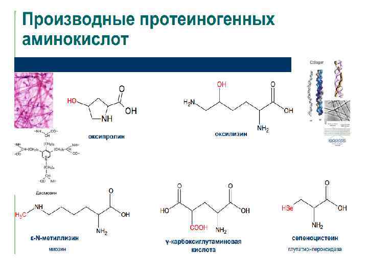 Схема бора биохимия