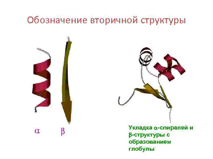 Обозначение вторичной структуры Укладка a-спиралей и b-структуры с образованием глобулы 