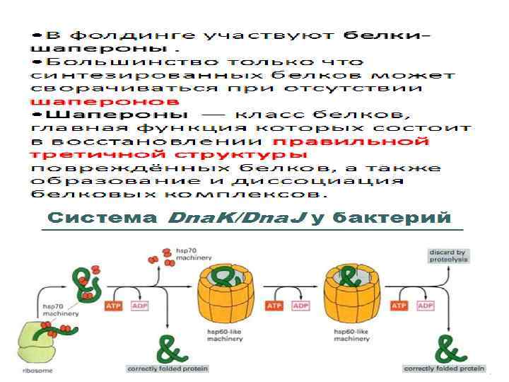 Схема бора биохимия