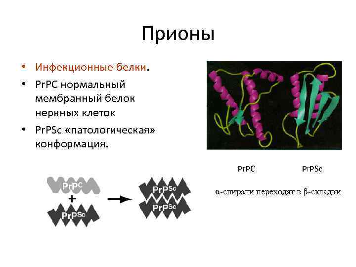 Нарушение естественной структуры белка