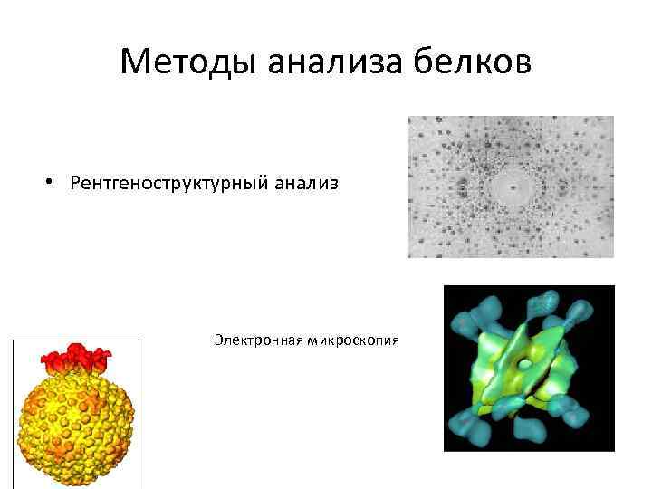 Методы анализа белков • Рентгеноструктурный анализ Электронная микроскопия 