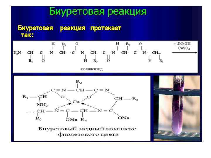 Пол биохимия