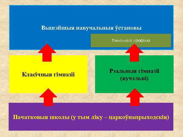 Вышэйшыя навучальныя ўстановы Тэхнічнага профілю Класічныя гімназіі Рэальныя гімназіі (вучэльні) Пачатковыя школы (у тым