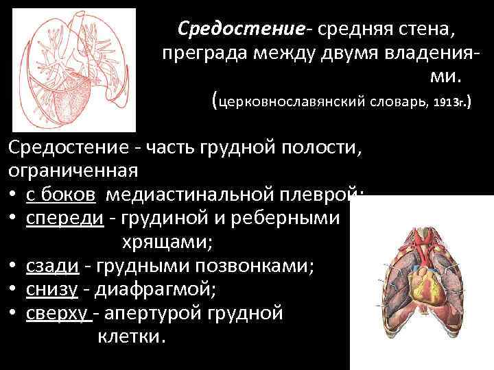 Средостение средняя стена, преграда между двумя владения ми. (церковнославянский словарь, 1913 г. ) Средостение