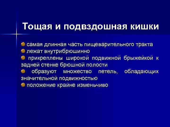 Тощая и подвздошная кишки самая длинная часть пищеварительного тракта лежат внутрибрюшинно прикреплены широкой подвижной
