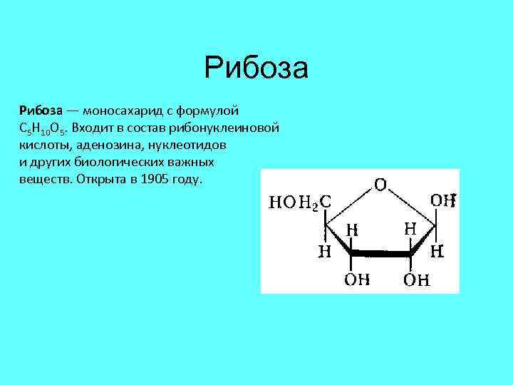 Рибоза входит в состав молекул. Строение рибозы формула. Рибоза биологическая роль. Д рибоза циклическая формула. Биороль рибозы.